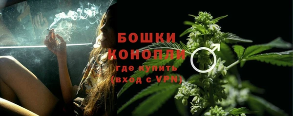 ГАЛЛЮЦИНОГЕННЫЕ ГРИБЫ Яранск
