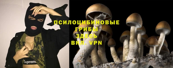 бутират Горнозаводск