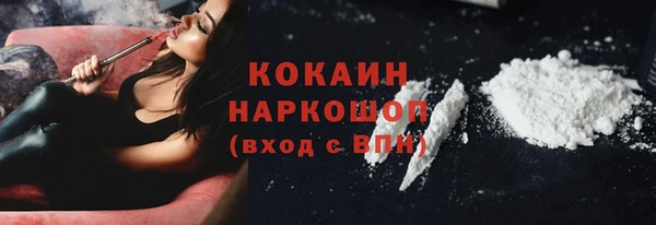 тгк Гусев