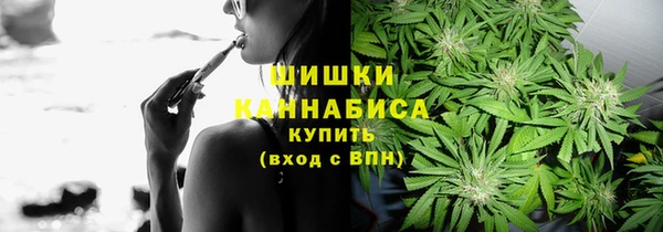 соль ск Гусь-Хрустальный