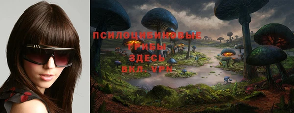 тгк Гусев
